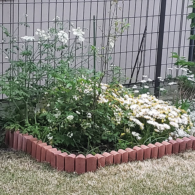 masaさんの実例写真