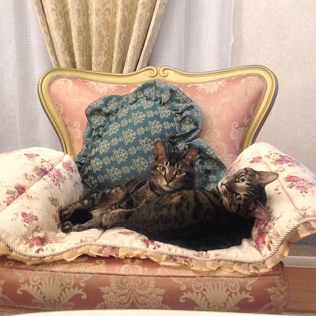 kyoさんの実例写真