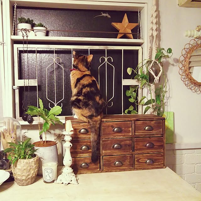 kurumiさんの実例写真