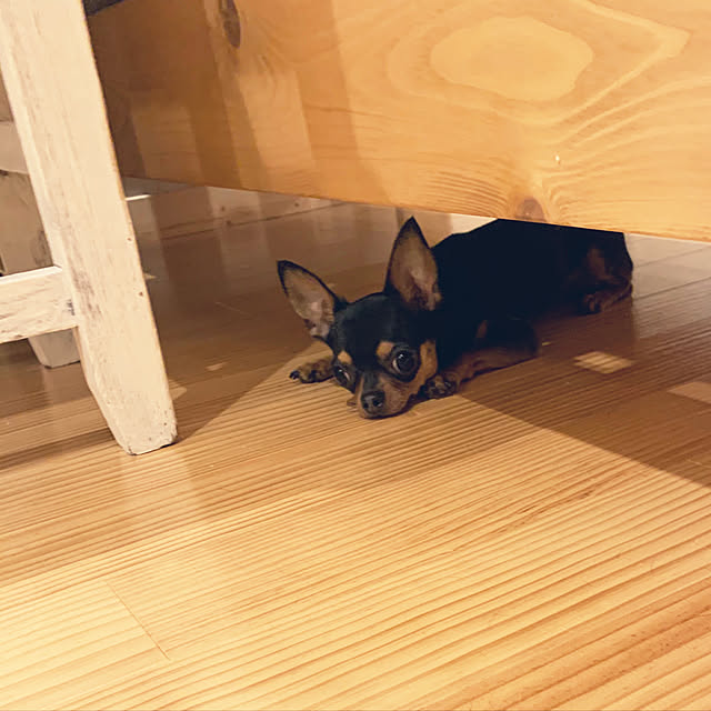 naminamiさんの実例写真