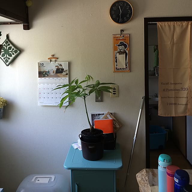 greenteaさんの実例写真