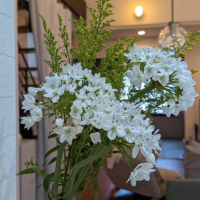 kumijiさんの実例写真