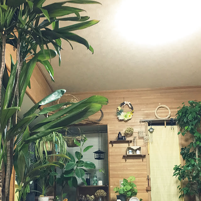 kimkimさんの実例写真