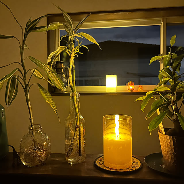 samugarinopunxさんの部屋