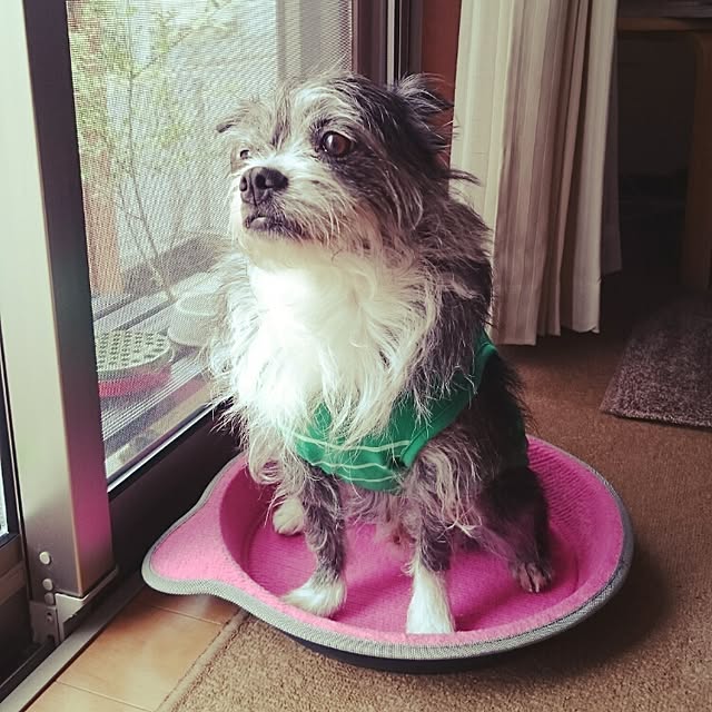 kosame918さんの実例写真