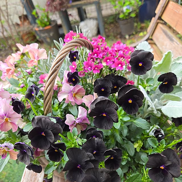 min_nimさんの部屋