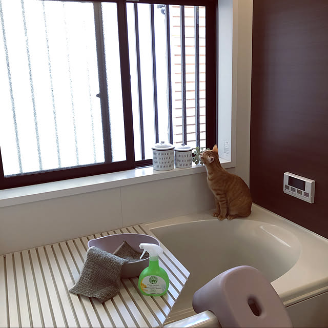 takakoさんの実例写真