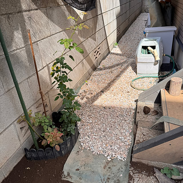 chaimomさんの部屋