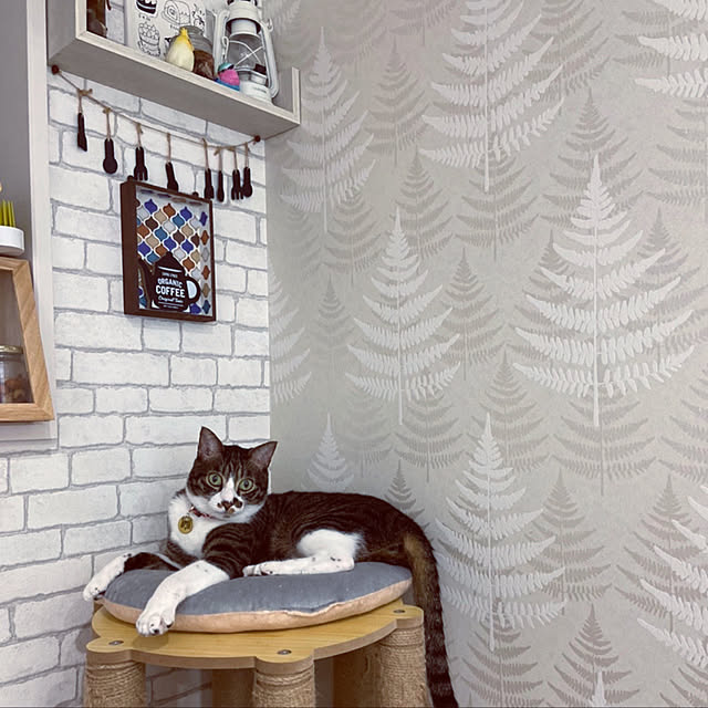 ippu0303Karinさんの実例写真