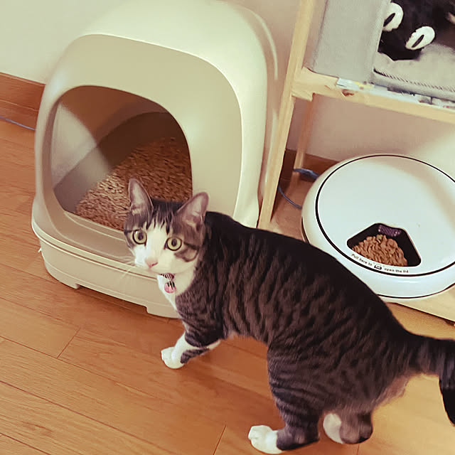 guuguu77さんの実例写真