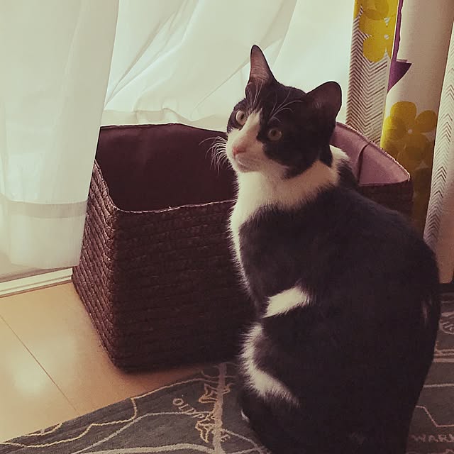 kikiさんの実例写真