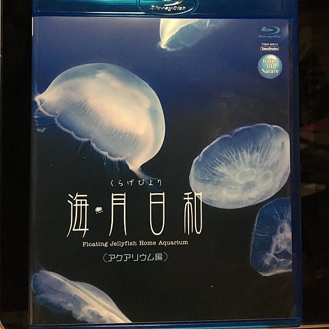 Shigeさんの実例写真