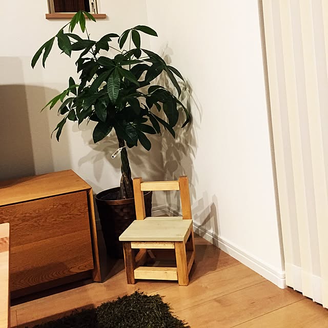 fumikaさんの実例写真