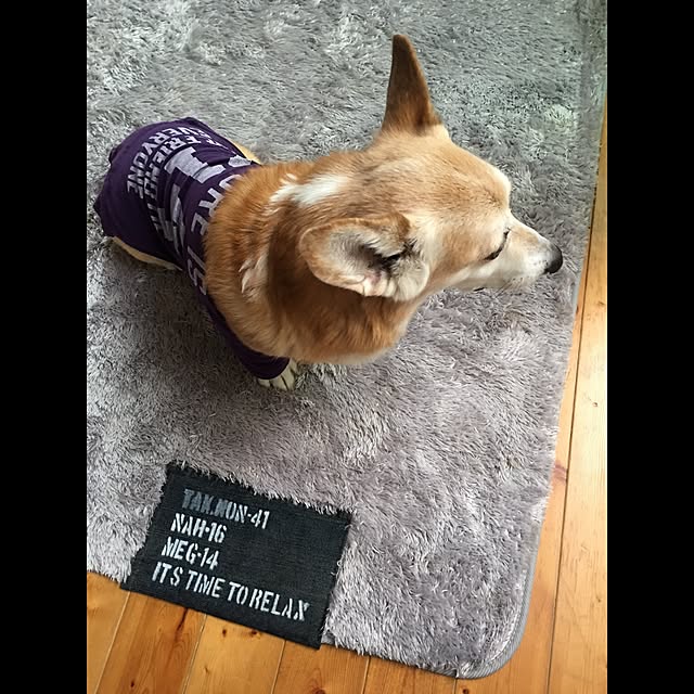 onokoさんの実例写真