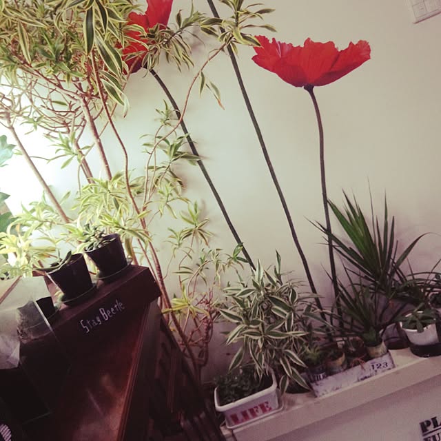shs1019shsさんの実例写真