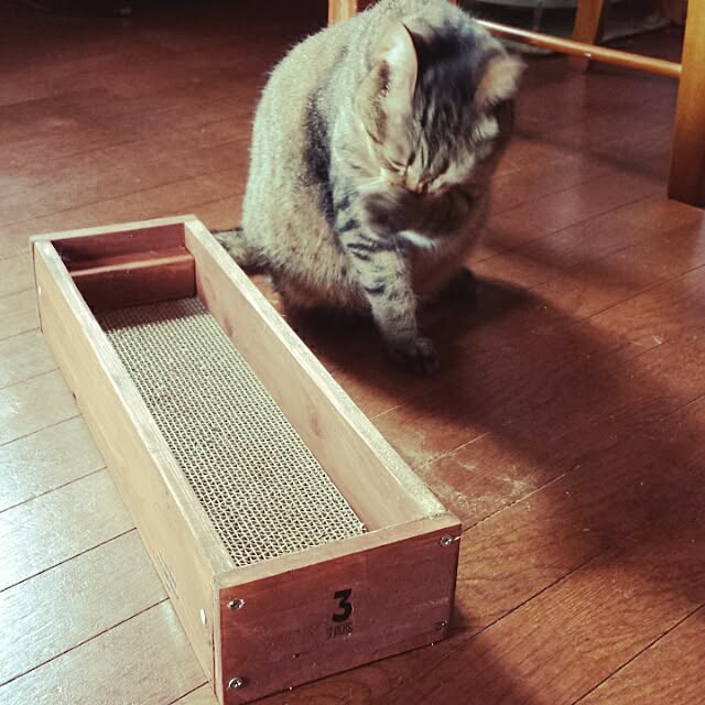 alps114さんの実例写真