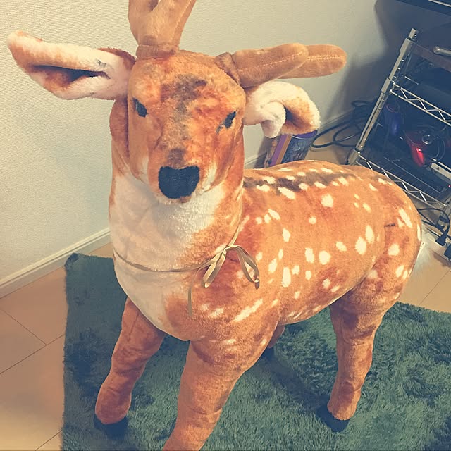 gumiminさんの実例写真