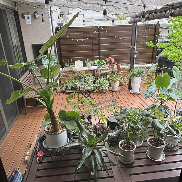 maimai0110さんの部屋