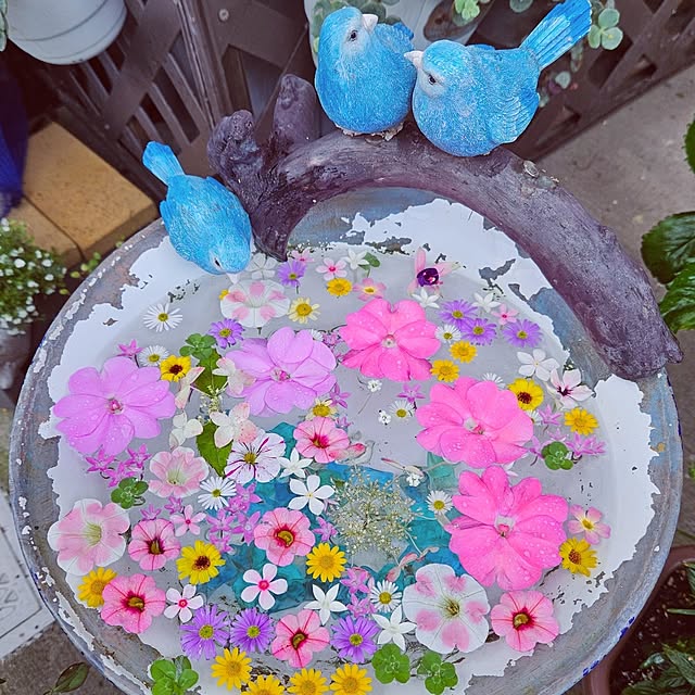 mocomocoさんの実例写真