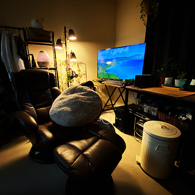 部屋全体のインテリア実例 - 2020-08-12 22:26:40