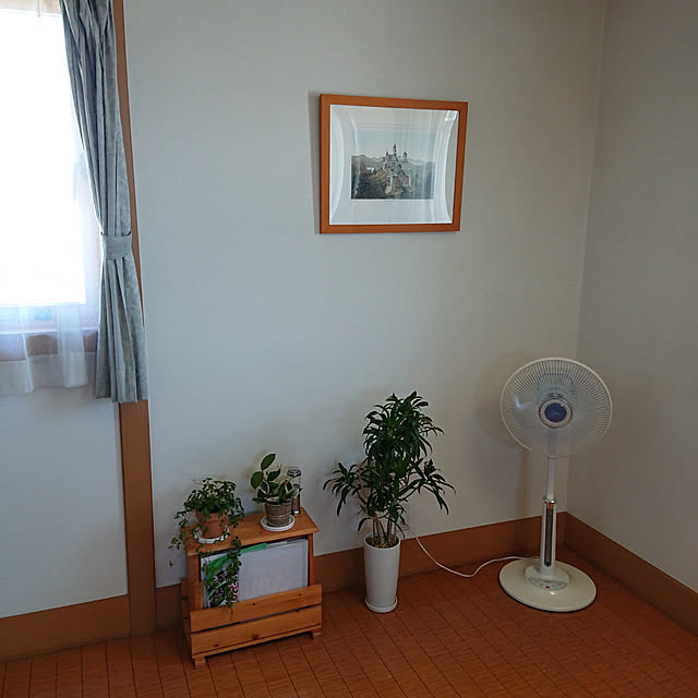 ayaさんの実例写真