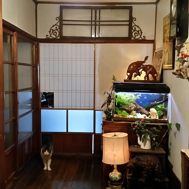 Anmituさんの実例写真
