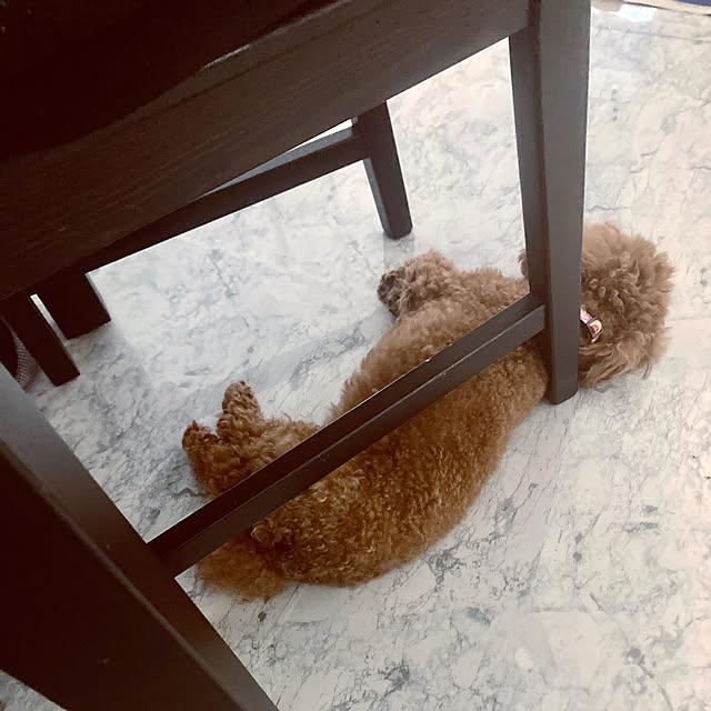 MOMOMAMAさんの実例写真