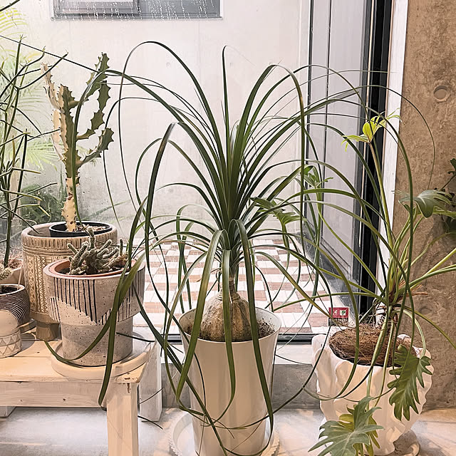 makiiさんの実例写真