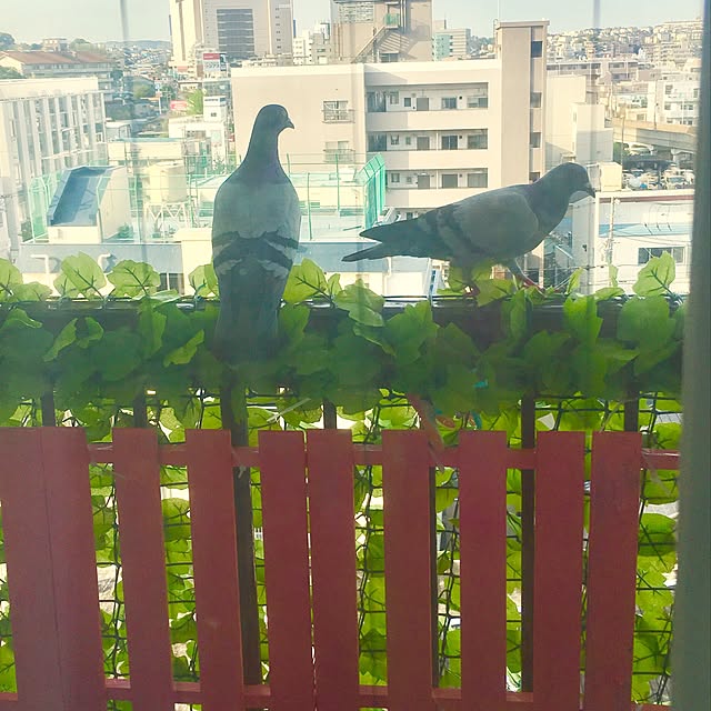 mgyさんの実例写真