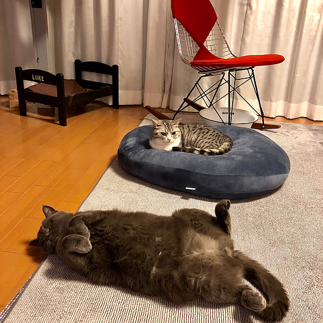 Shojiさんの実例写真