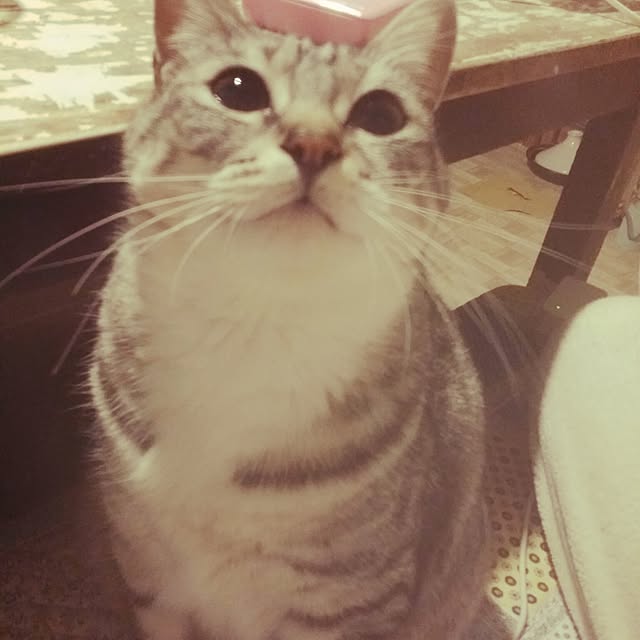 annさんの実例写真