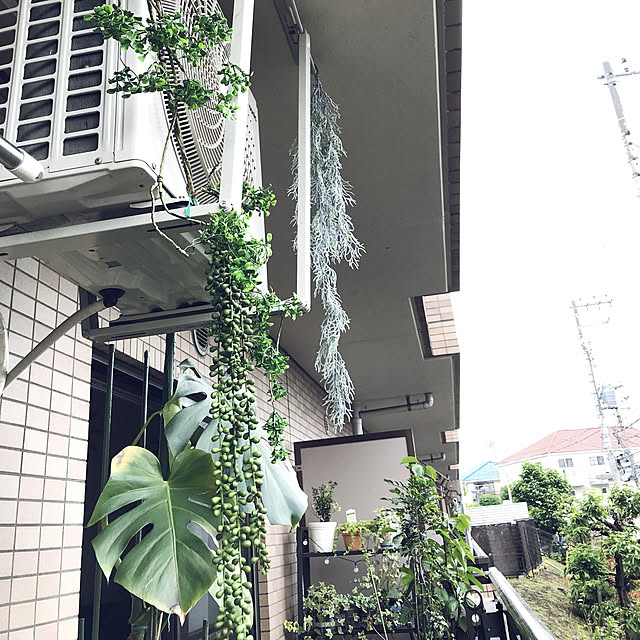 ange0919さんの実例写真