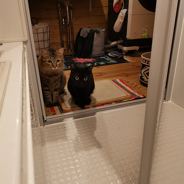 kakakaさんの実例写真