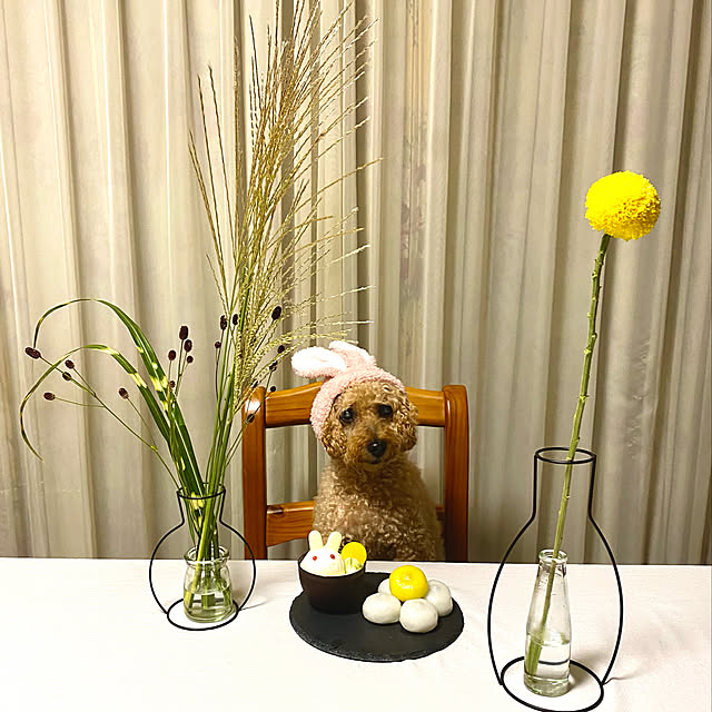 mさんの実例写真