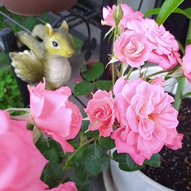 NOAHさんの部屋