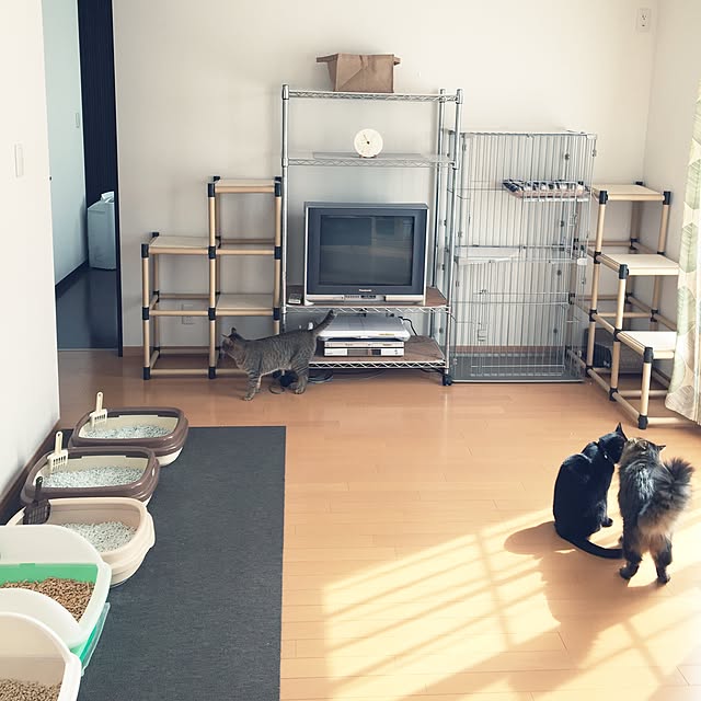 yuki0511さんの実例写真