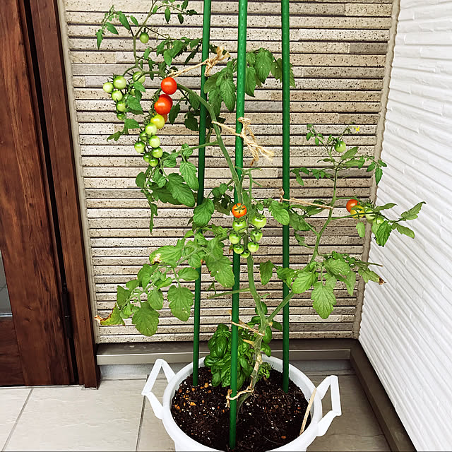 mamikoさんの実例写真
