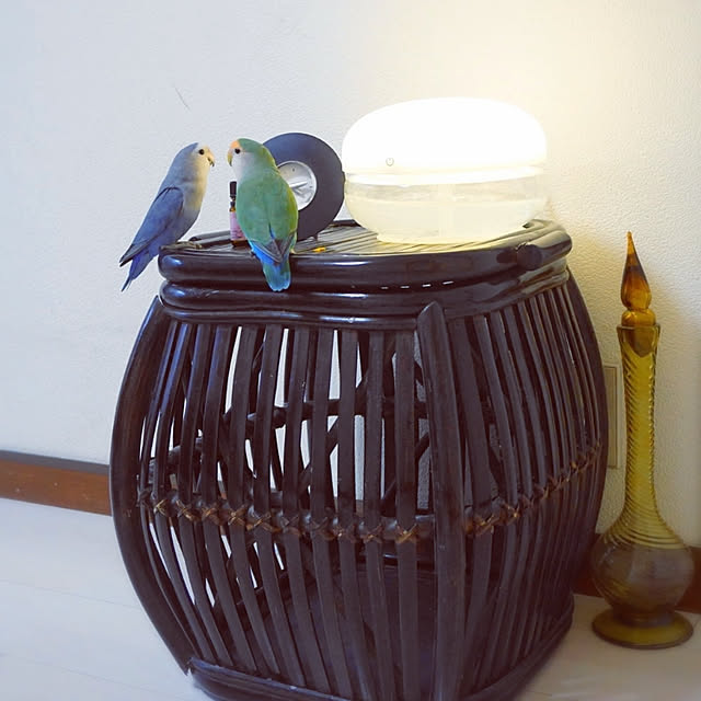 aromameさんの実例写真
