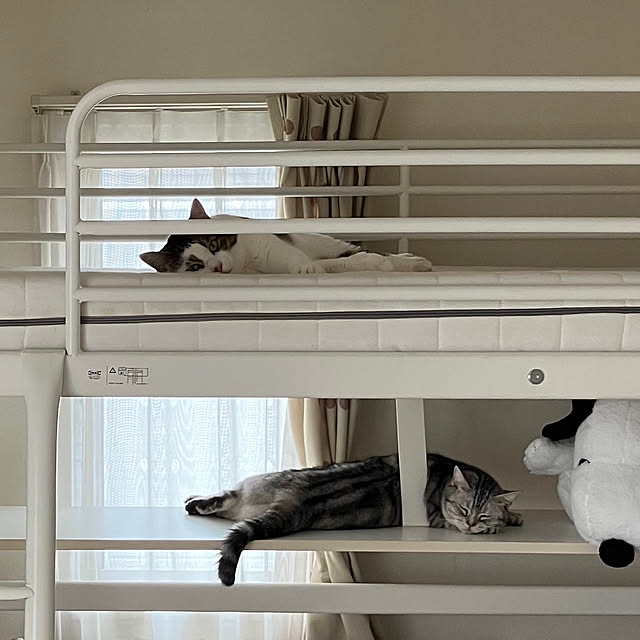 RARAさんの部屋