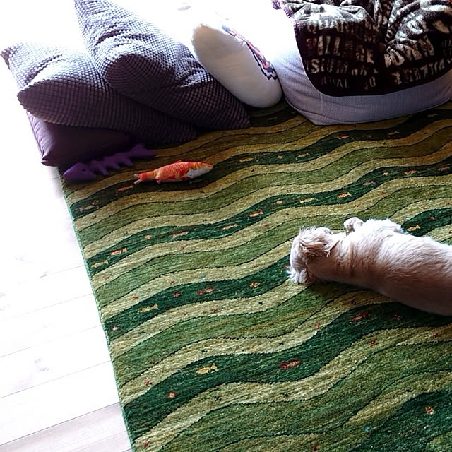 meme.coさんの実例写真