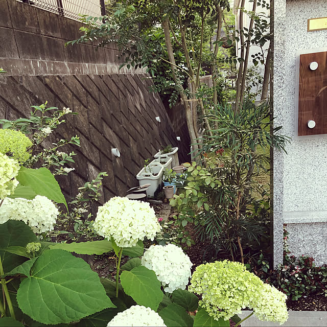 hatsugaさんの実例写真