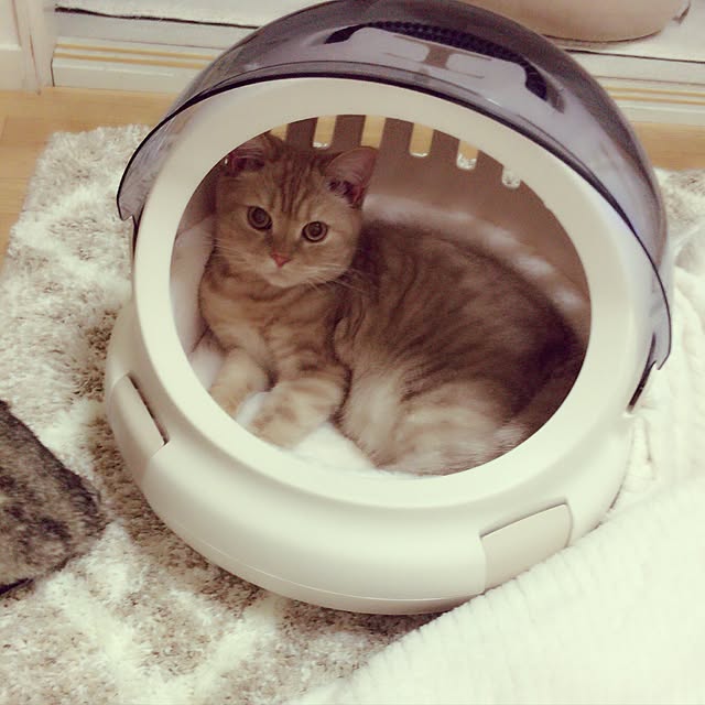maさんの実例写真