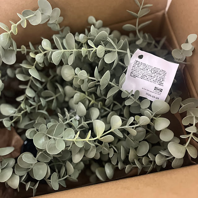 rikuerinka86さんの部屋