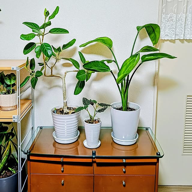 hanachanさんの部屋