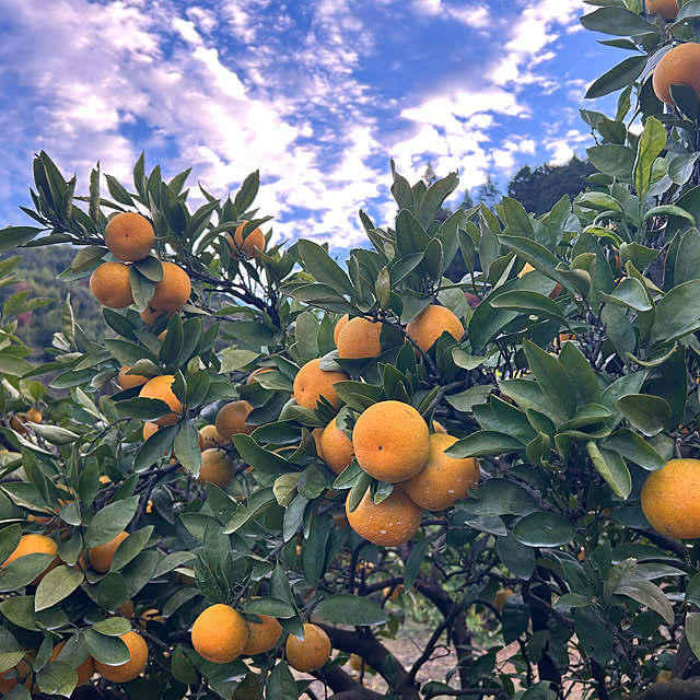 banbinaさんの部屋