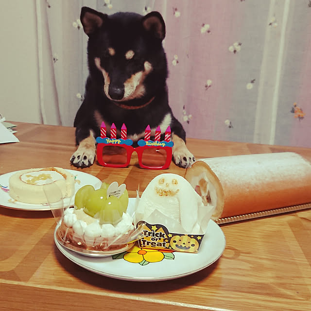 xxxakyxxxさんの実例写真