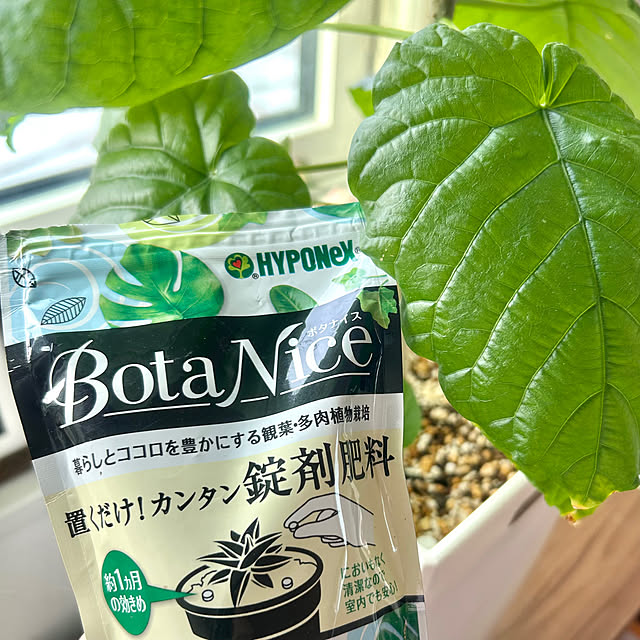chiroさんの部屋