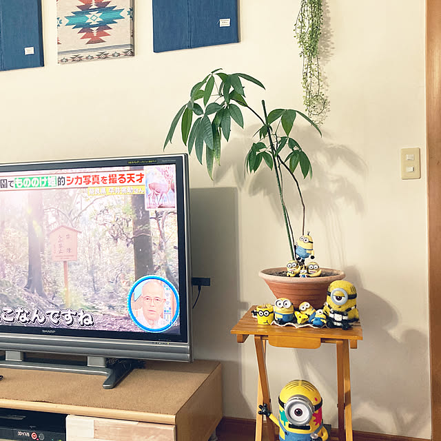 mayuさんの実例写真