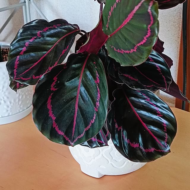 hanachanさんの実例写真