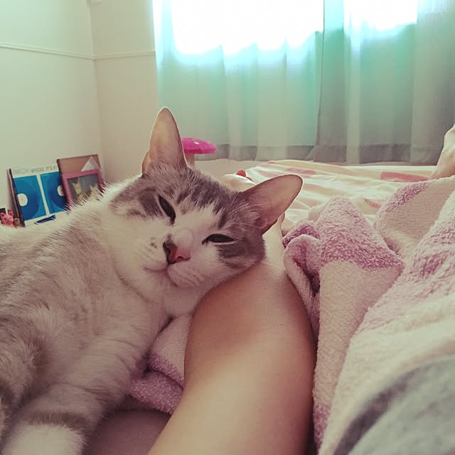 Fukafkaさんの実例写真